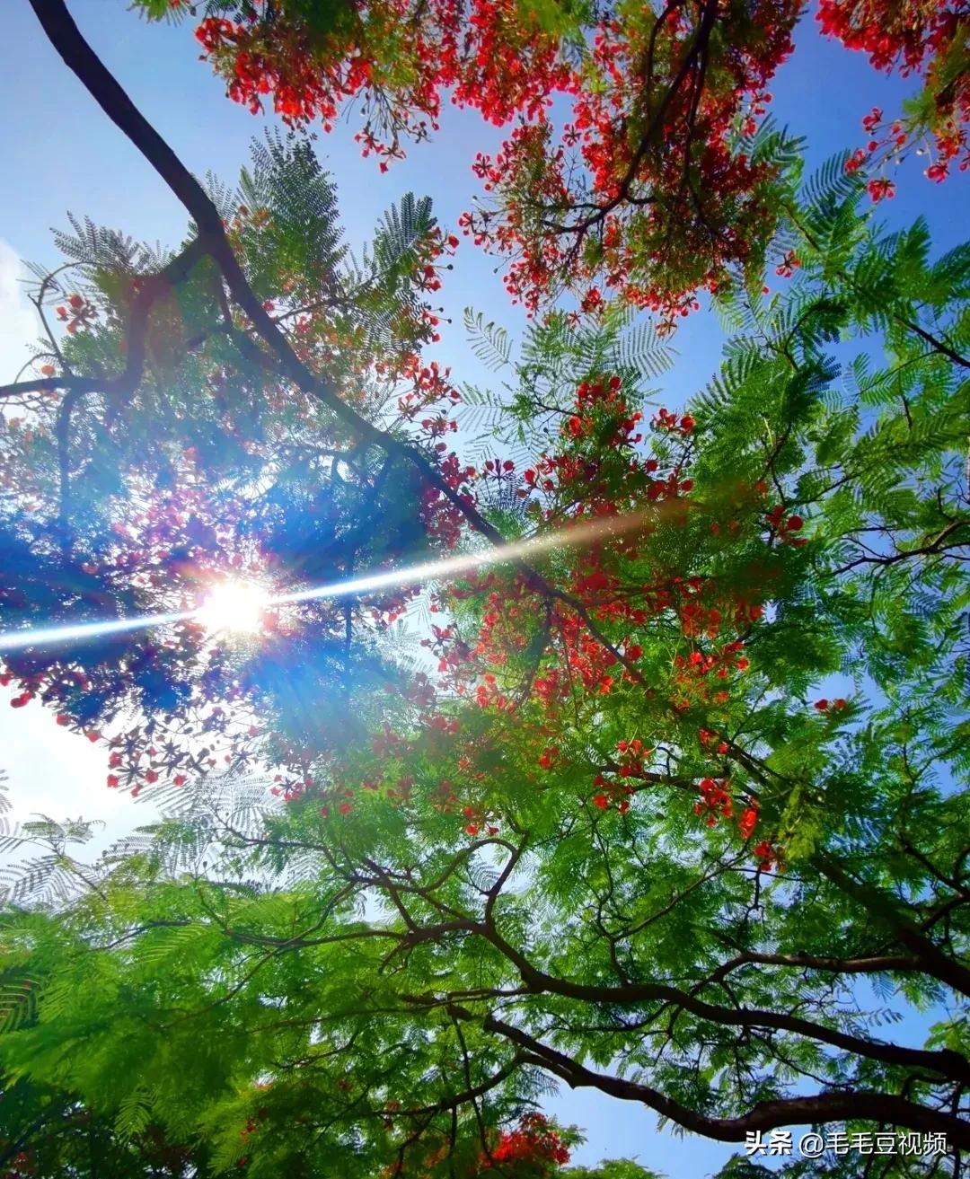 集美杏林有什么好玩的地方啊