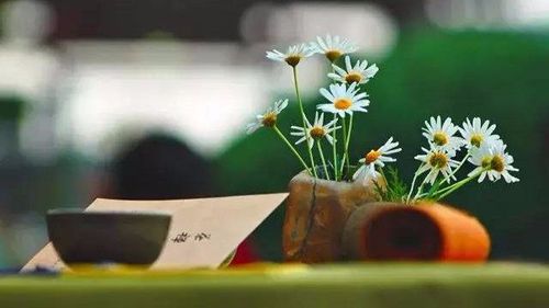 得失辩证法！高考作文参考范文《超越得失，通达人生》