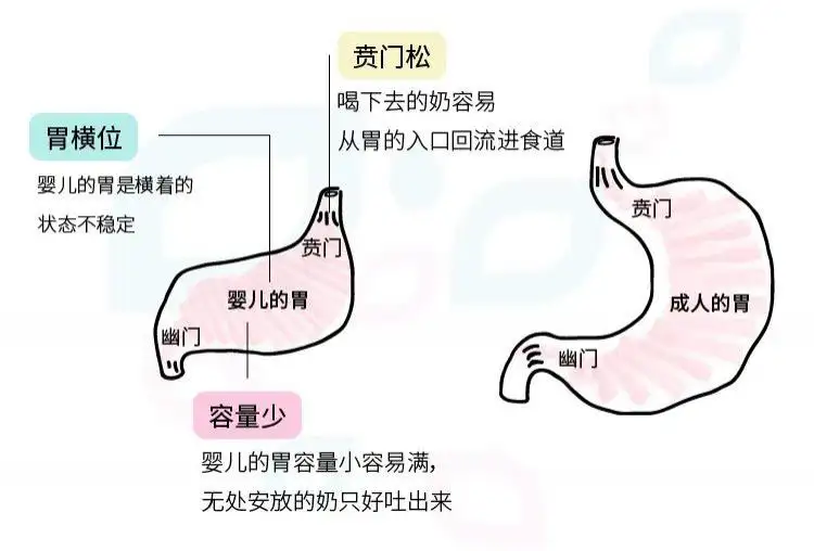 拍完嗝还被娃猝不及防吐一脸？关于宝宝拍嗝这些事，没那么简单