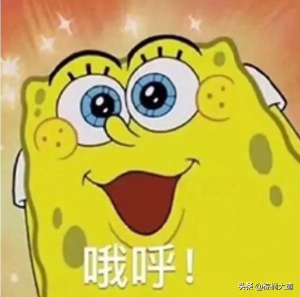 疫情持续，“不出境”留学成为新趋势？高含金量中外合办硕士盘点