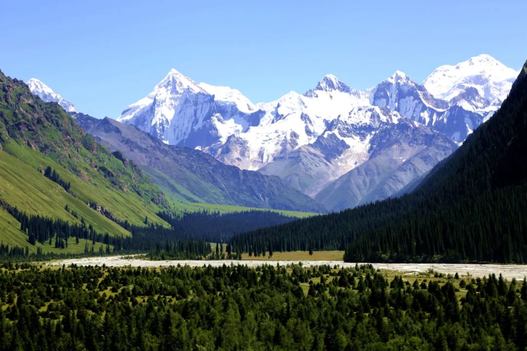 美丽新疆——昭苏 第32张