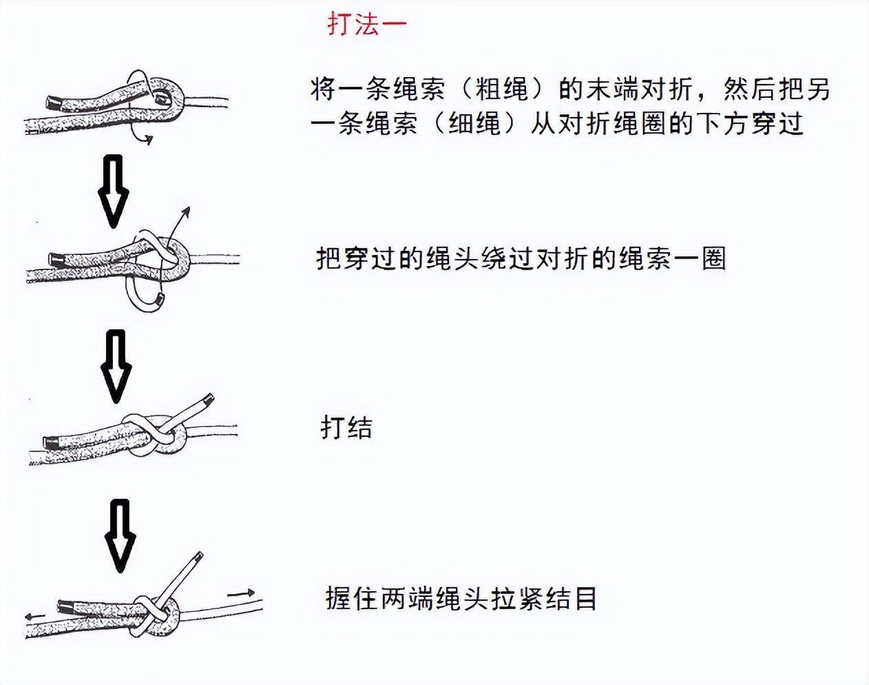 干貨滿滿｜常用的18種繩結打法及用途