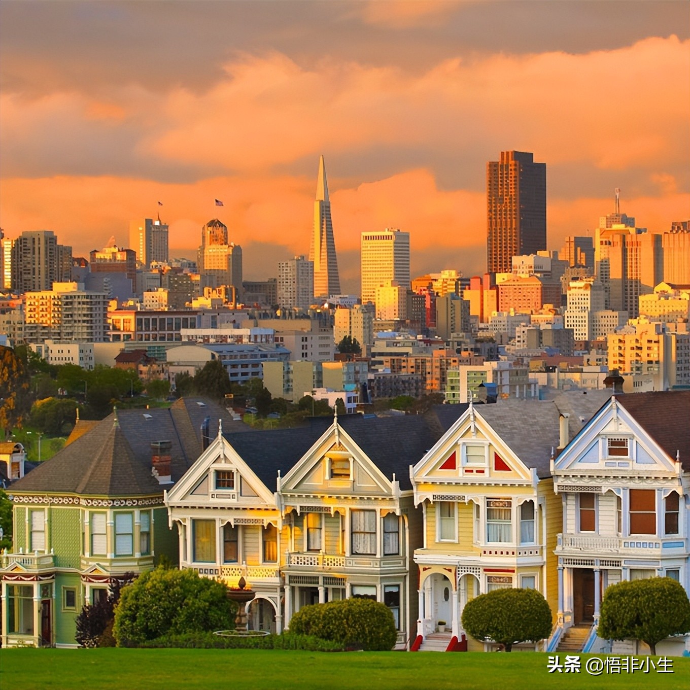 最唯美浪漫的10首现代诗，背会4首以上，你也是个温情的人