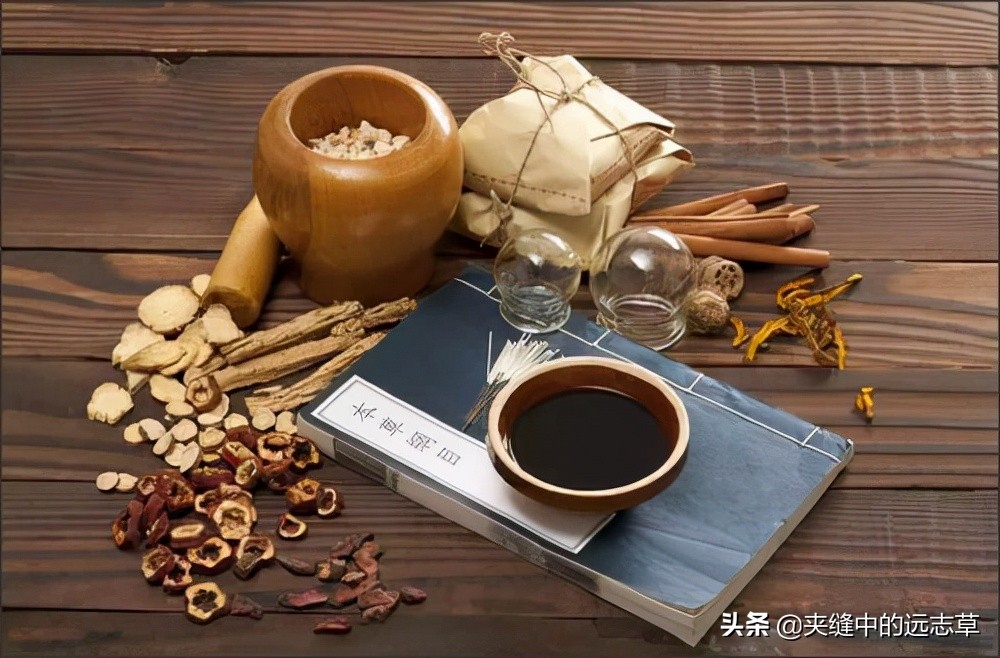 冬季养肾壮阳十种中药材推荐