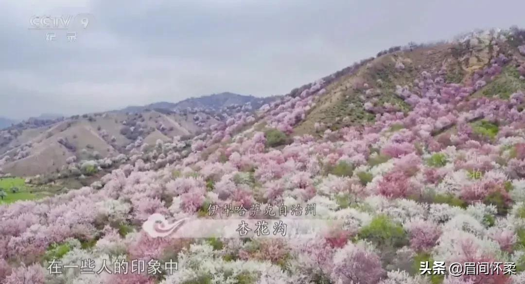 《人民日报》推荐,你必须要看的国产纪录片