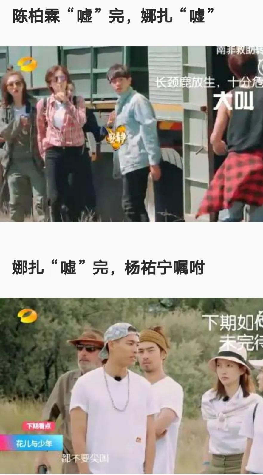 因为绿茶行为错过爆红机会的女明星-胡辣汤、挤痘痘、捋剧本.....