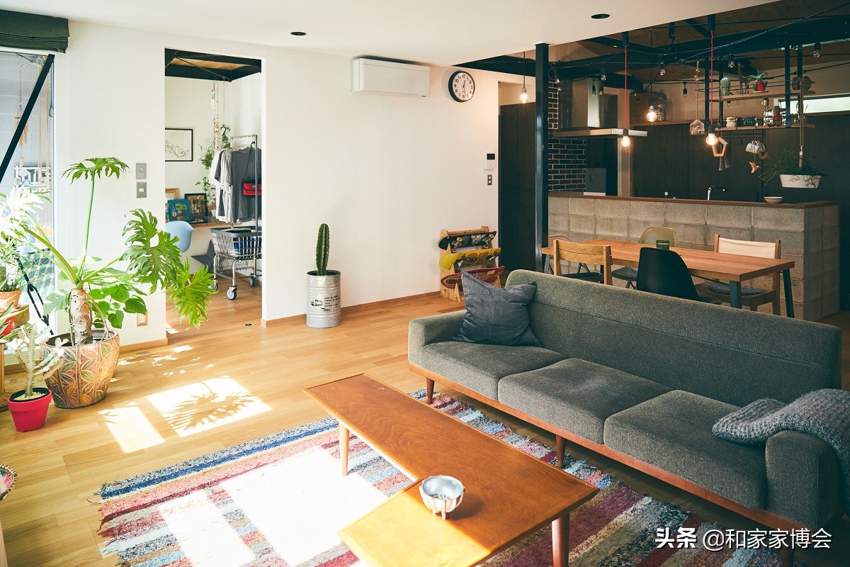 绿色植物助力“邻里关系”| 美式风格的老房翻新装修