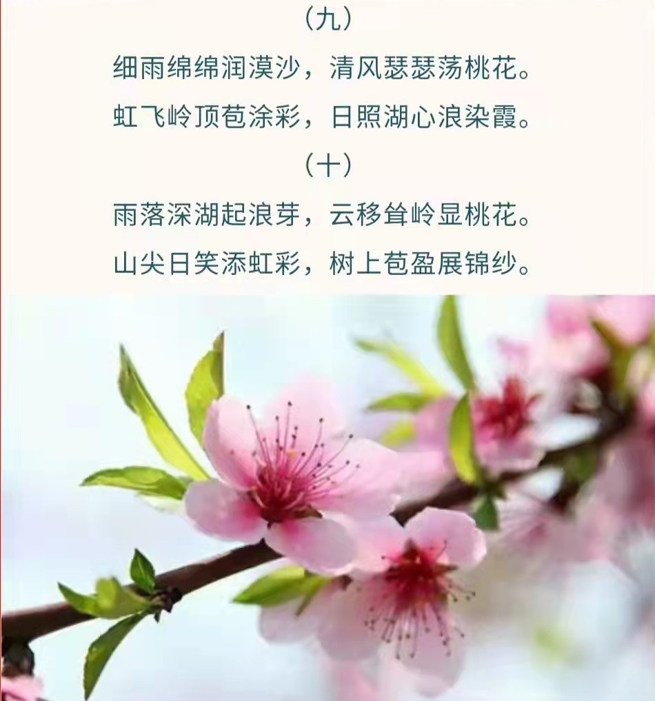 йרⱨɽ