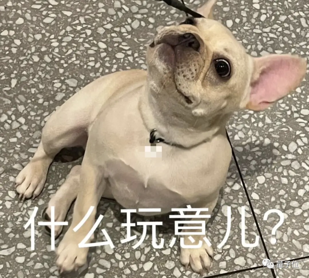 微信翻译，快把上海老外搞疯了