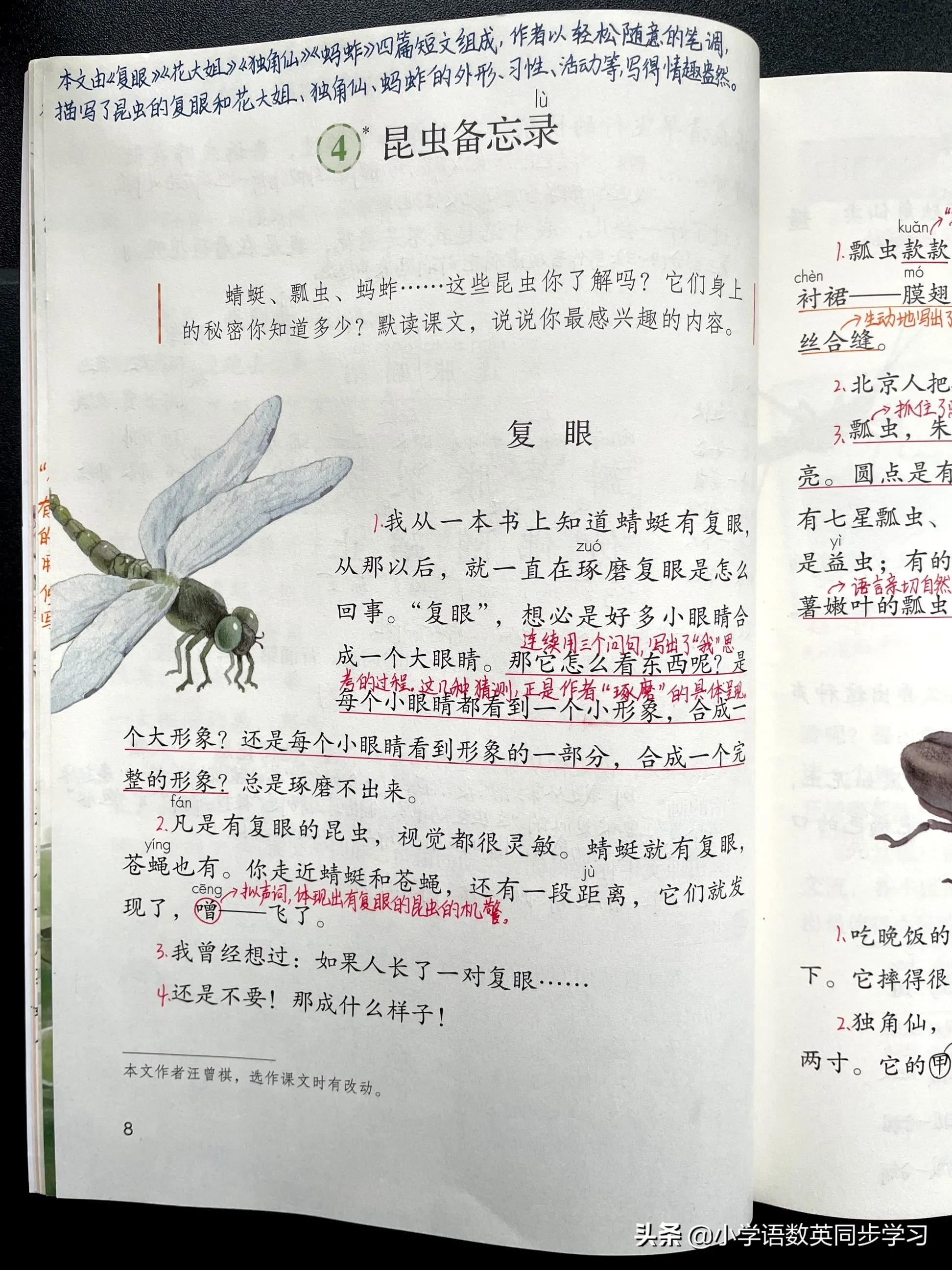 小学语文三年级下册第4课《昆虫备忘录》教师笔记