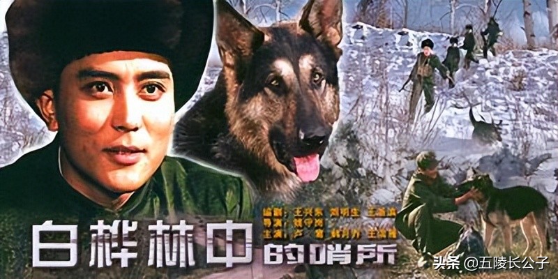 致敬上世纪80年代的十五部国产电影，属于人民的经典影片