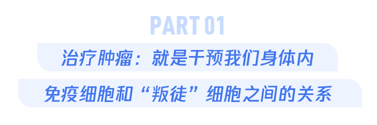 癌症免疫治疗究竟要花多少钱？我们能消灭癌症吗？一文全说清