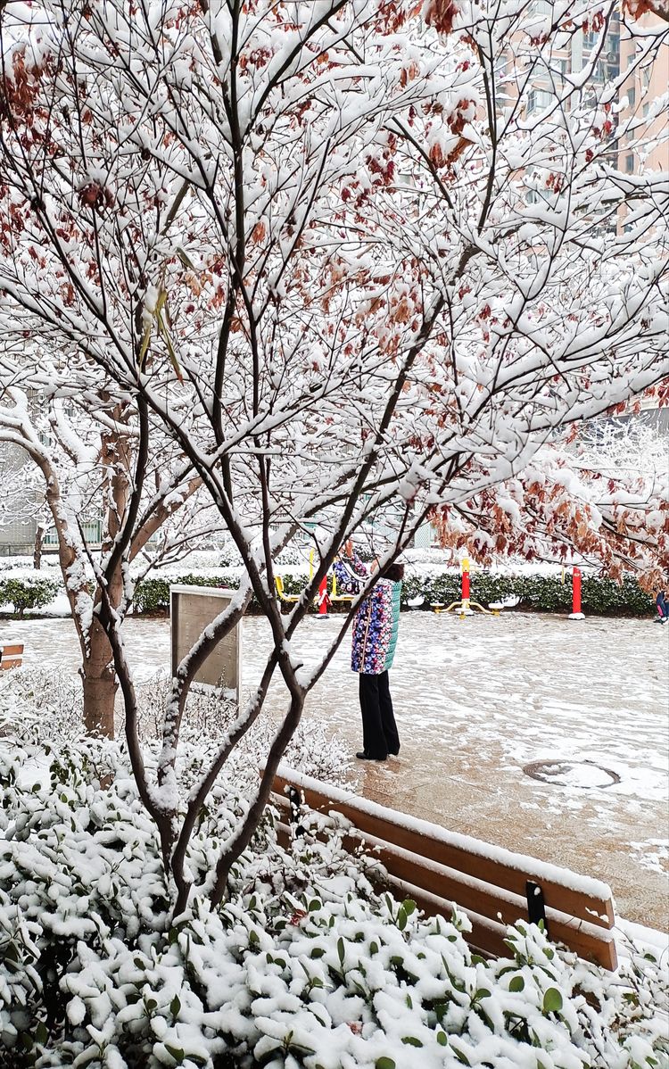 一场雪，让这里的春天真美 摄影/诗文：李武兵