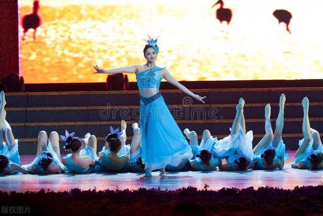 这所公办艺术学院文化达到最低省控线，美术统考230分即可被录取