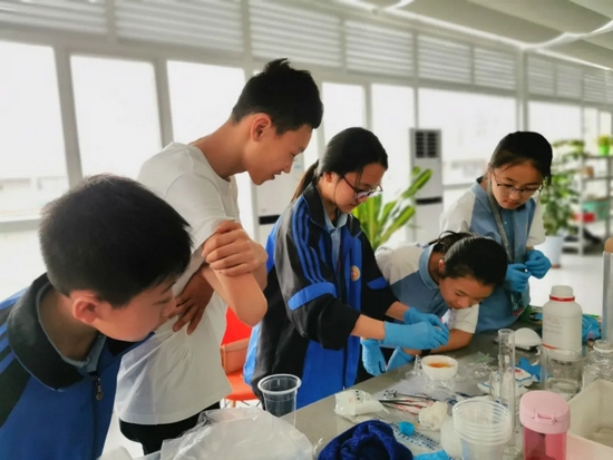 不愧是你，特等奖第一名！双中实验综合实践活动课程再获殊荣