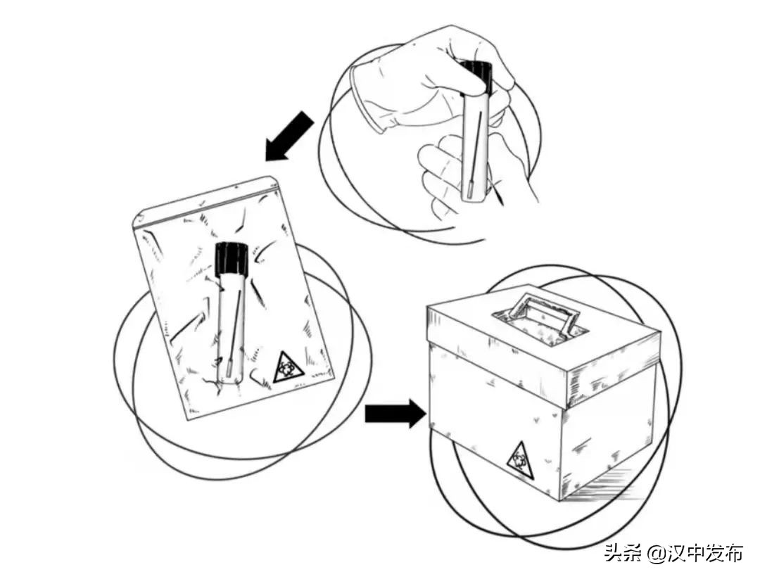 勿催！一份核酸檢測(cè)報(bào)告的誕生不簡(jiǎn)單→