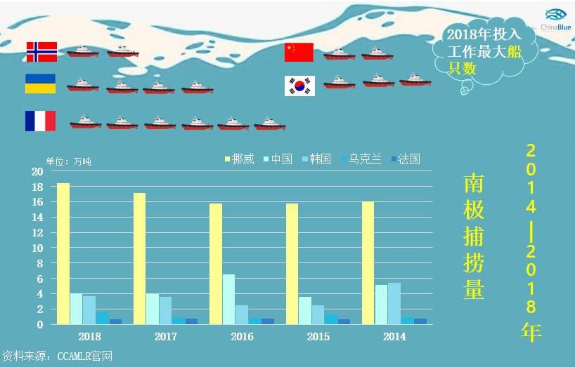 南极磷虾多达6.5亿吨，人类每年捕30万吨，中国是最大潜力股？