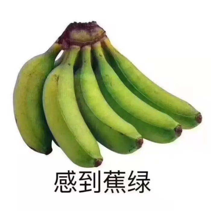 给爸妈买东西被嫌弃（给父母买东西每次都是一顿骂）
