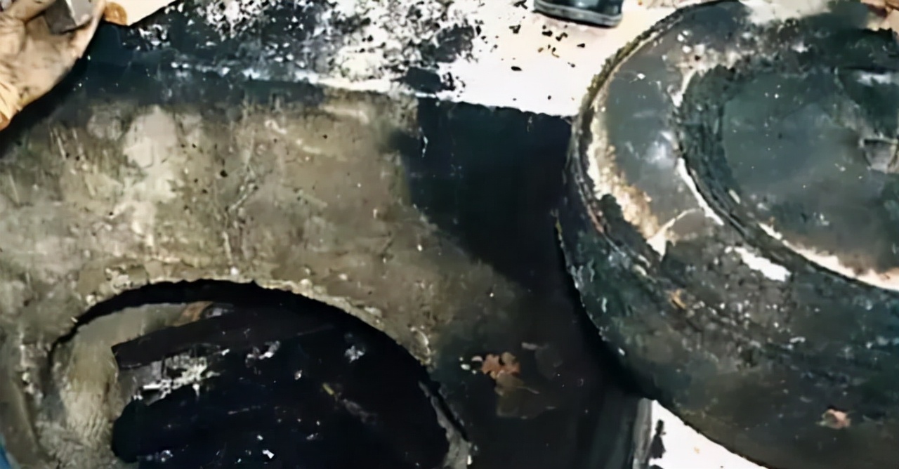 2003年，马来西亚跆拳道黑带少妇，晚宴后失踪，被找到时已成焦炭