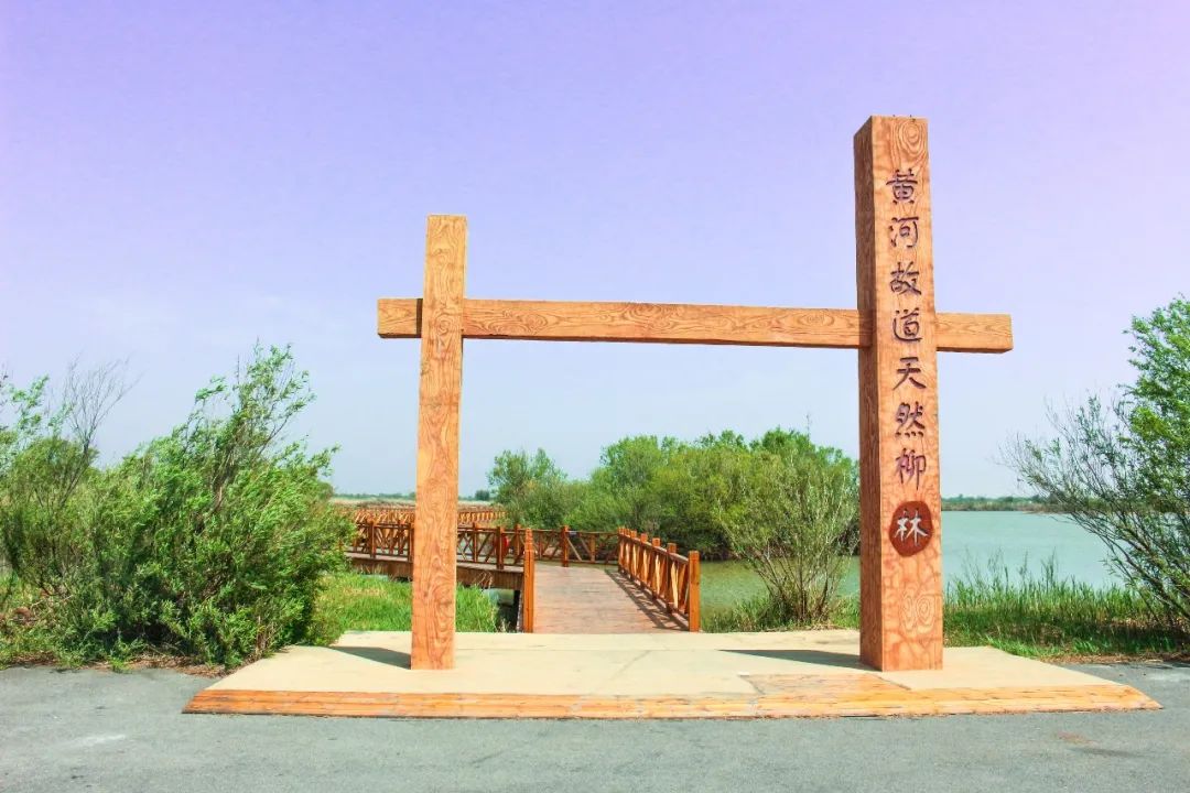 好客山东五一游玩去哪里黄河口生态旅游区