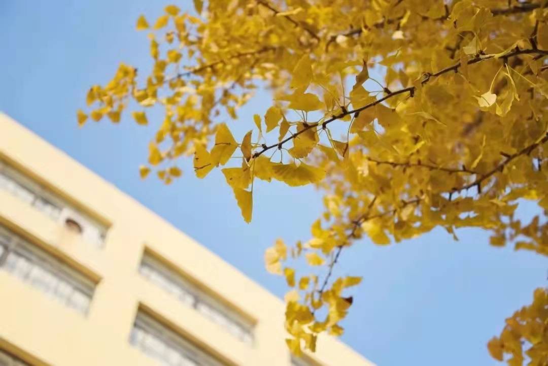 省媒强势聚焦！山东这所高校：关注学生心理健康，聘请7位精神科专家坐诊！