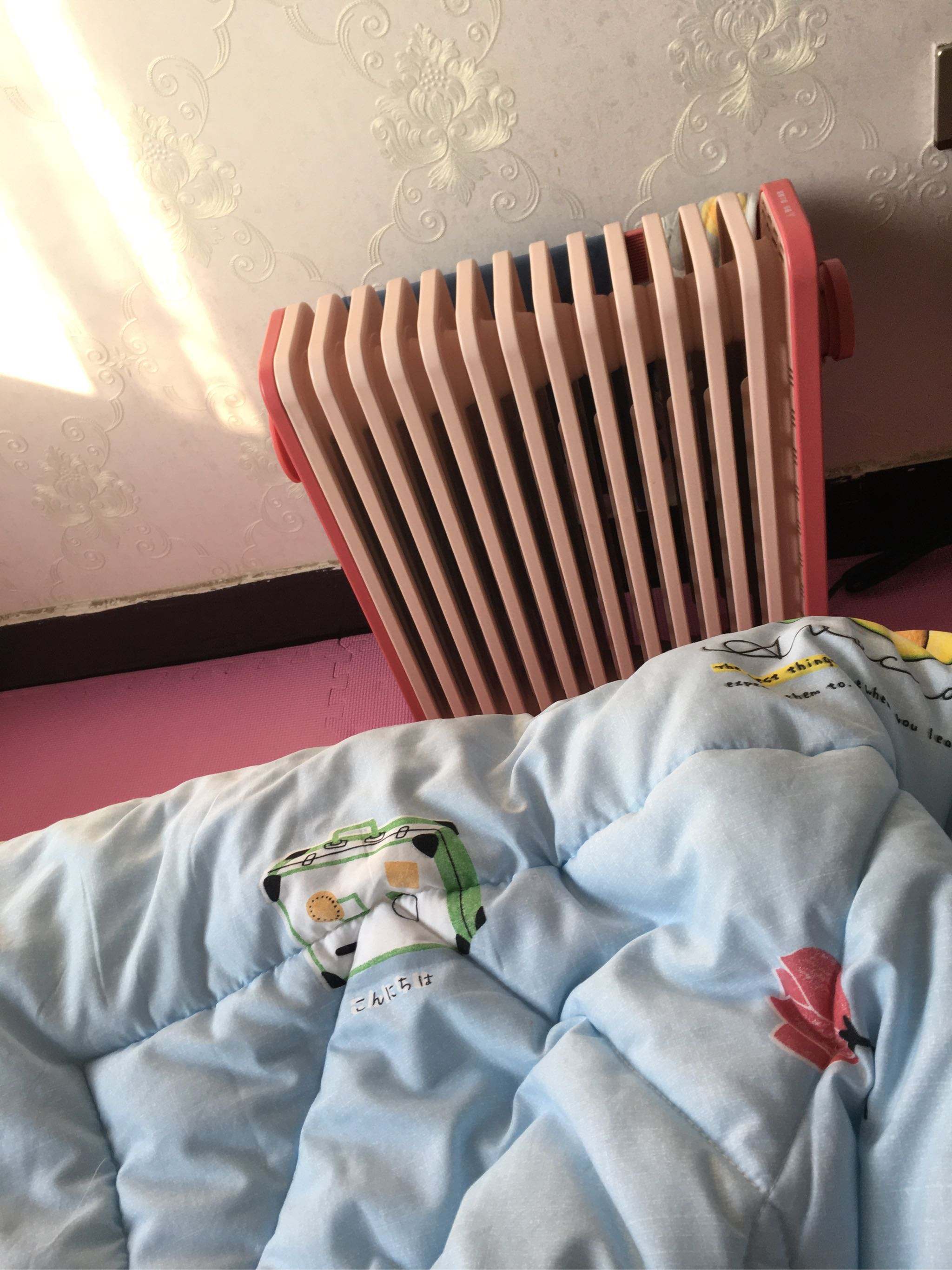 電暖氣的選擇：暖風(fēng)機(jī)有性價(jià)比，油汀有舒適度，小太陽(yáng)還是算了吧