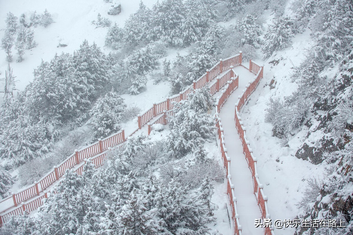 下雪 好兆头（今天下雪了）