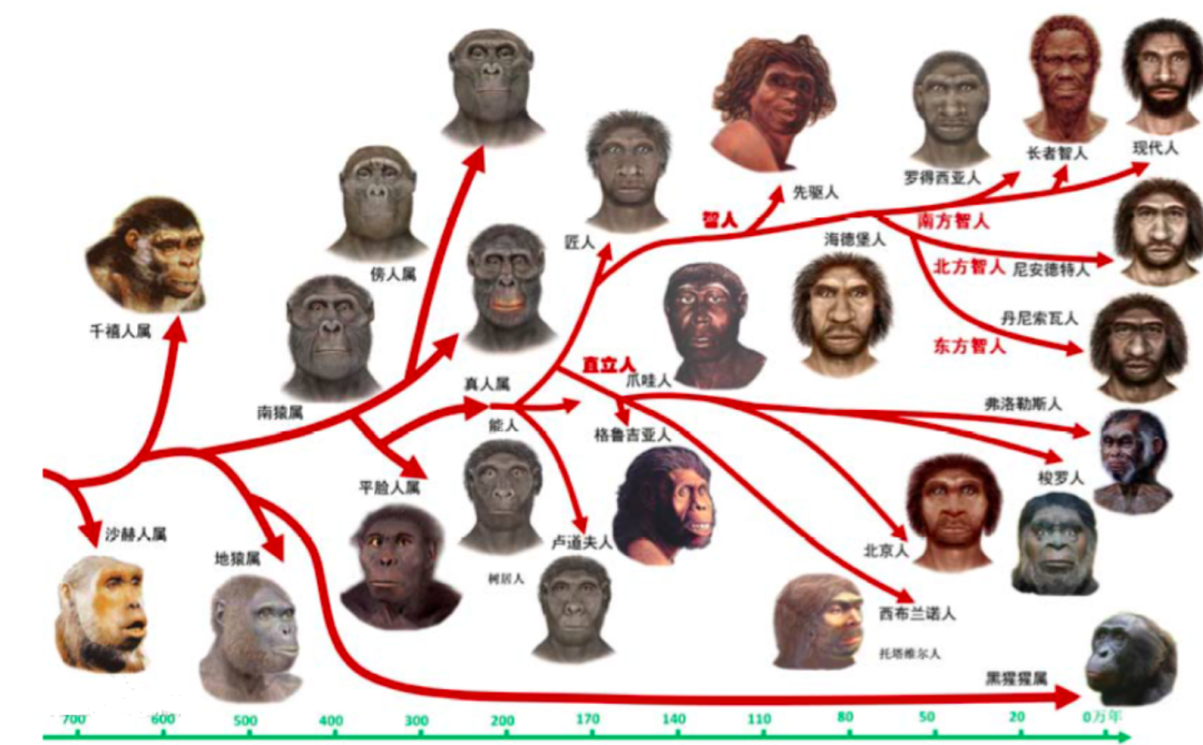 ����Ϊʲô��ʧȥ�������ǡ��������ǽ������ƣ����ǵ����ˣ�