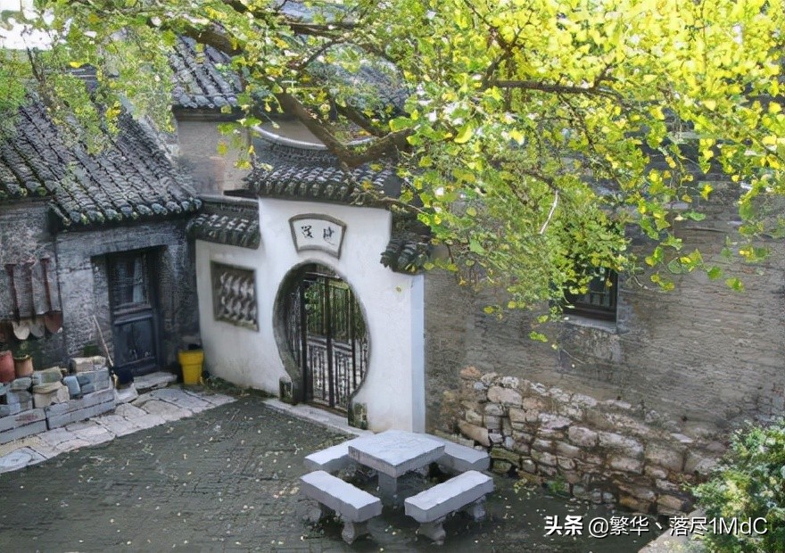 津南区（天津市下辖区)