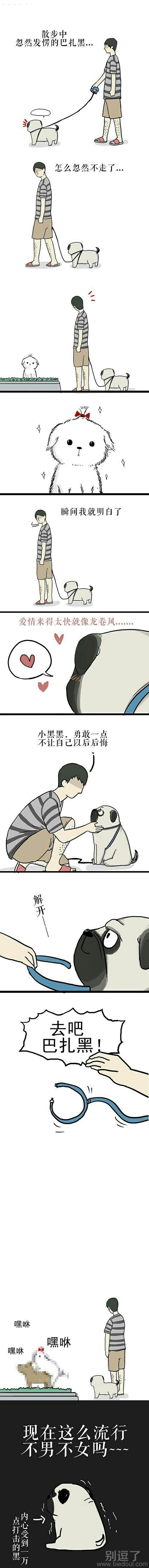 搞笑短信，看了哈哈哈大笑