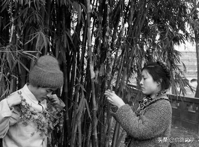 顾城十首很经典的爱情诗，充满哲理和朦胧意境，让人佩服他的才华