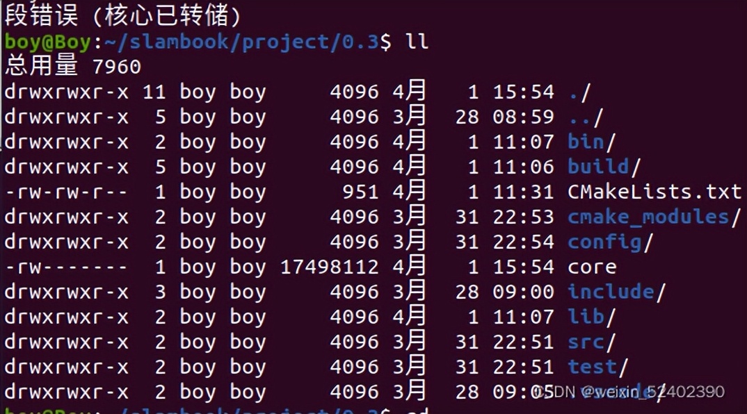 Ubuntu20.04出现段错误核心已转储问题解决方案