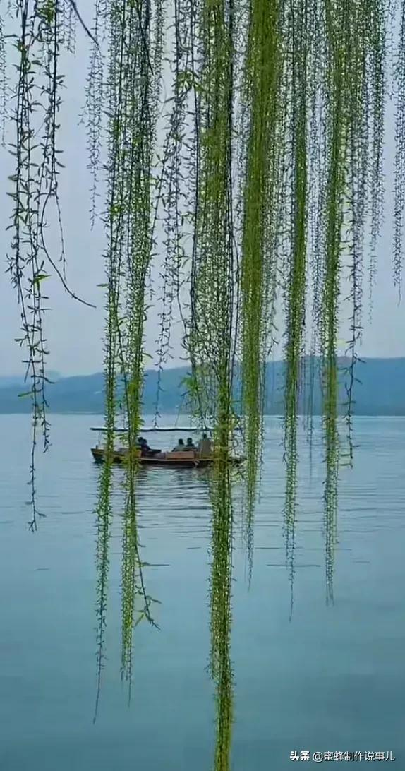 心如向阳，一路鲜花盛开，芬芳相随