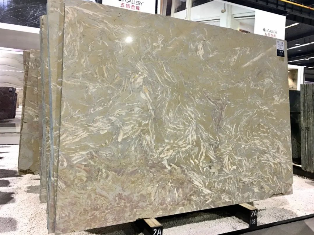 石材里的化石你见过吗？都有哪些石材里面有化石呢