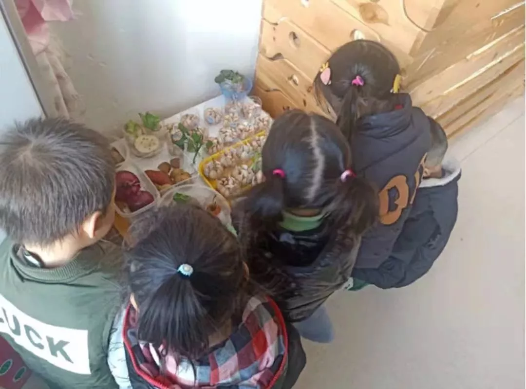 中國幼教公益論壇丨幼兒園冬季室內活動方案