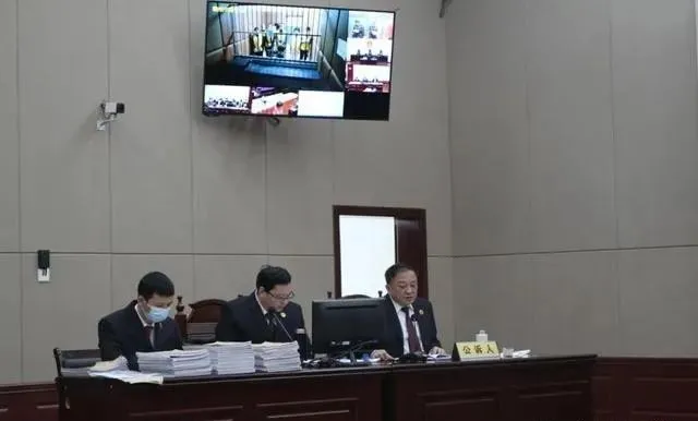 发展会员3万多人 涉案资金6.6亿元“牛樟芝”传销骗局的深度解析
