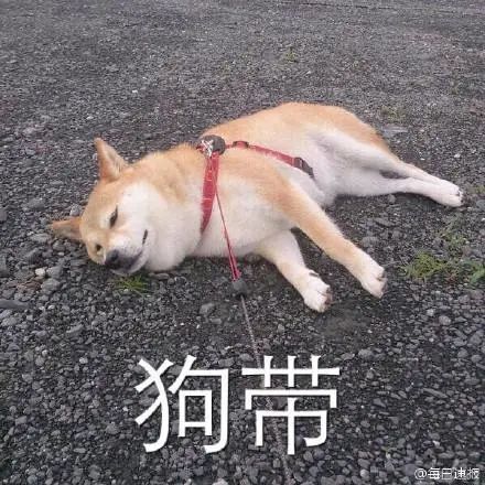 这届Chinese年轻人的English水平也太water了吧…