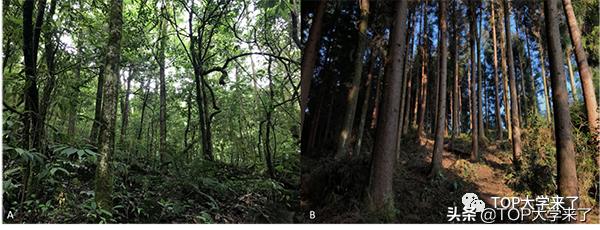 第5篇正刊！2022年北京大学华方圆课题组最新成果登《Science》