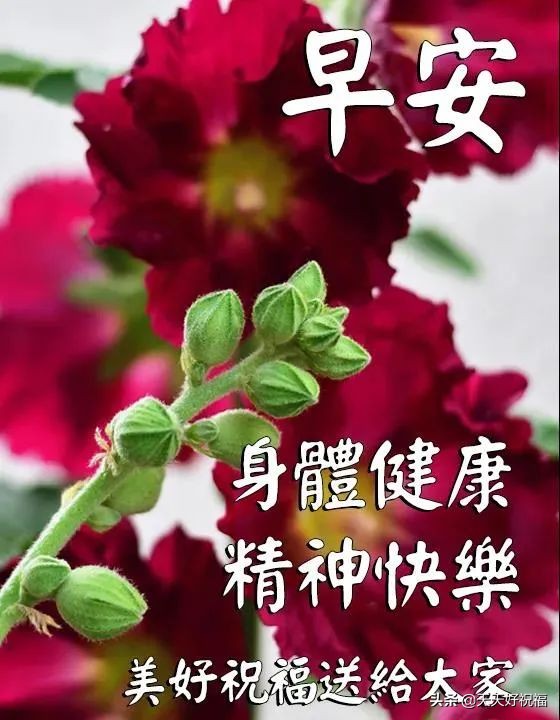 创意好看的早上好图片带祝福语 清晨朋友圈早安问候语图片文字（精选10句）图片