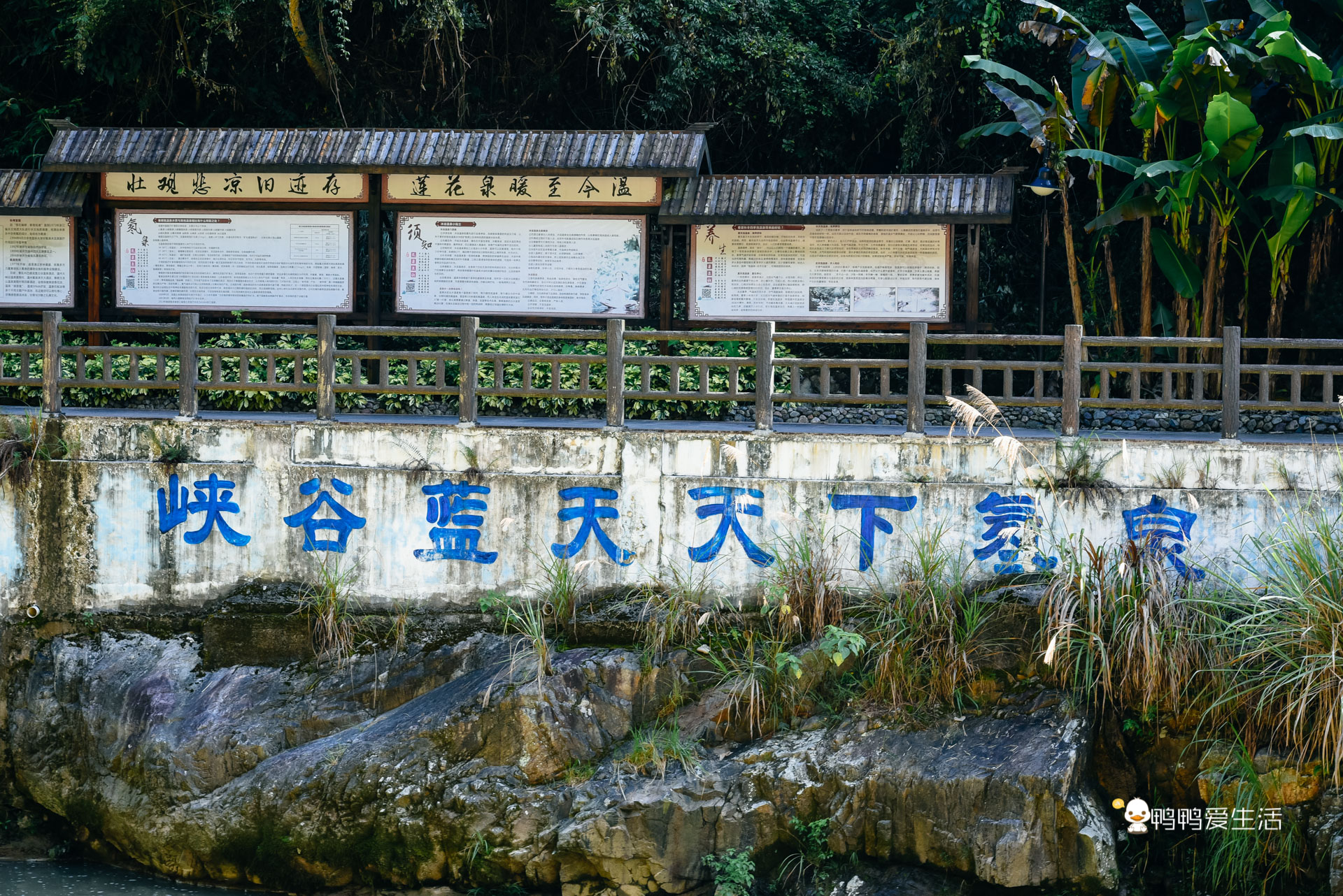 浙江最出名的温泉藏在泰顺华东大峡谷内常年高热功效奇特
