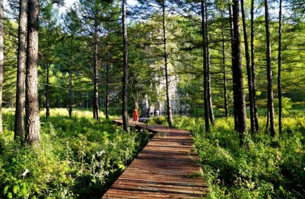 “万里大造林”的陈相贵：曾182万买手机号，为何08年沦为阶下囚