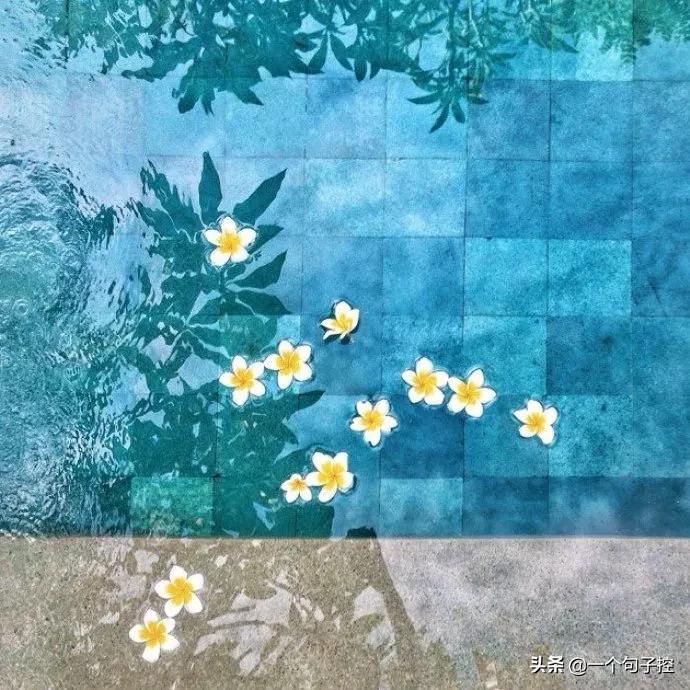 别浪费时间追忆过去，珍惜当下，前行才是答案