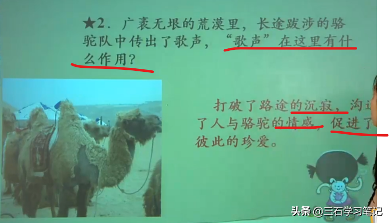 语文阅读理解技巧 分析句段作用 领会句子含义——学习笔记2
