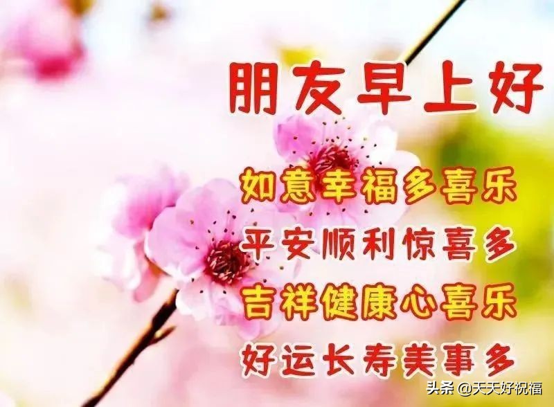 4月8日最新早上好日常祝福语大全，祝你天天快乐