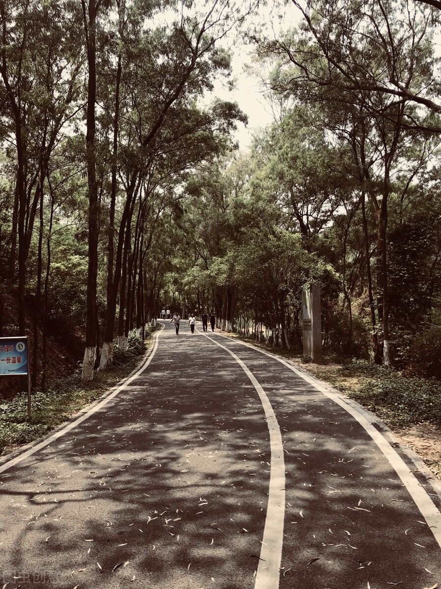 你应该知道的关于考研的3个真相！是否要跨专业考研？去追风口？