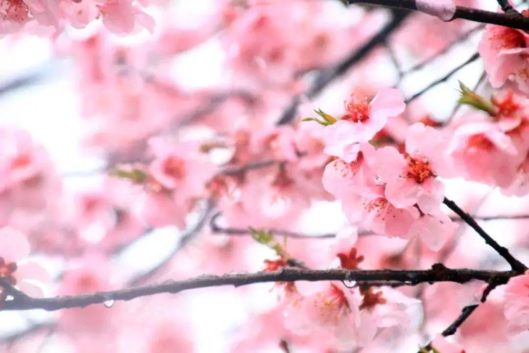 侯<a href=http://www.cngansu.cn/news/ target=_blank class=infotextkey></a>ܶӡӪ̨ • ߹¡ɫ԰Ƿ﷫ʱ