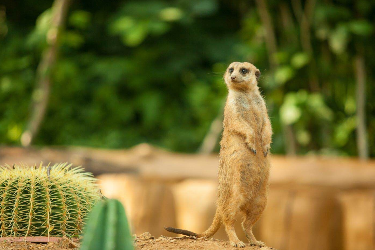 维特里希：诺贝尔化学奖得主，拿到中国绿卡和获得诺贝尔一样开心
