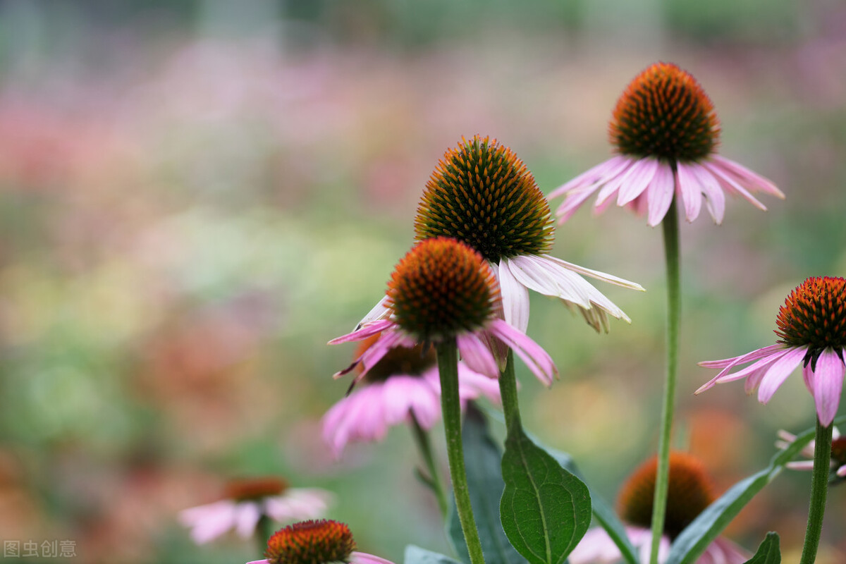 写作，就是注意力的争夺