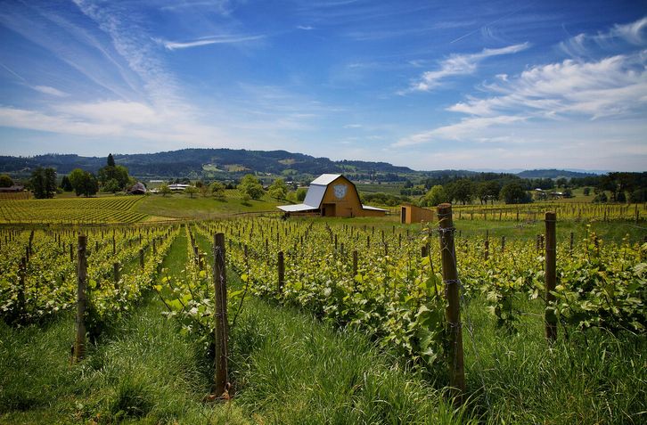 2022年最值得去的十大葡萄酒旅游体验度假地