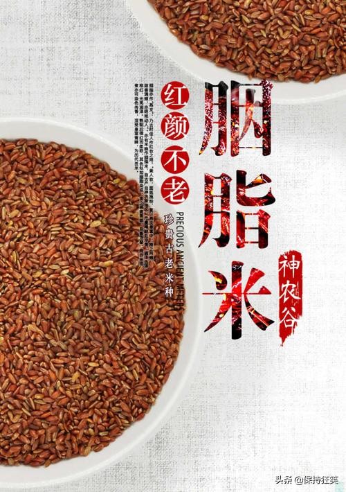 中国十大优质大米 宁夏珍珠米上榜，第一产于黑龙江